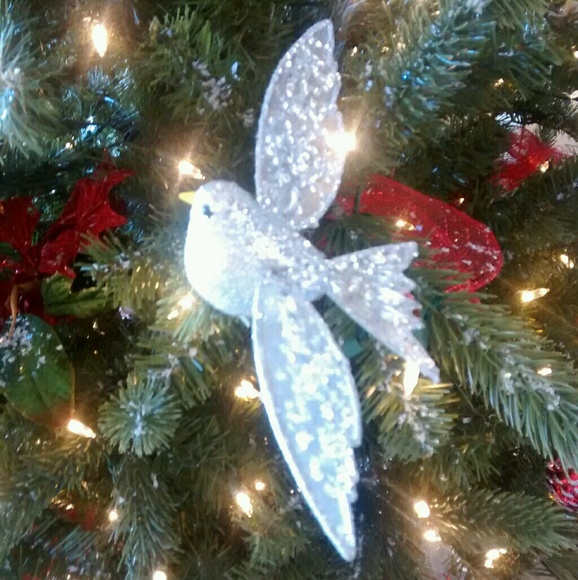 Meet your Posher, Barbara - Picture 6 of 6